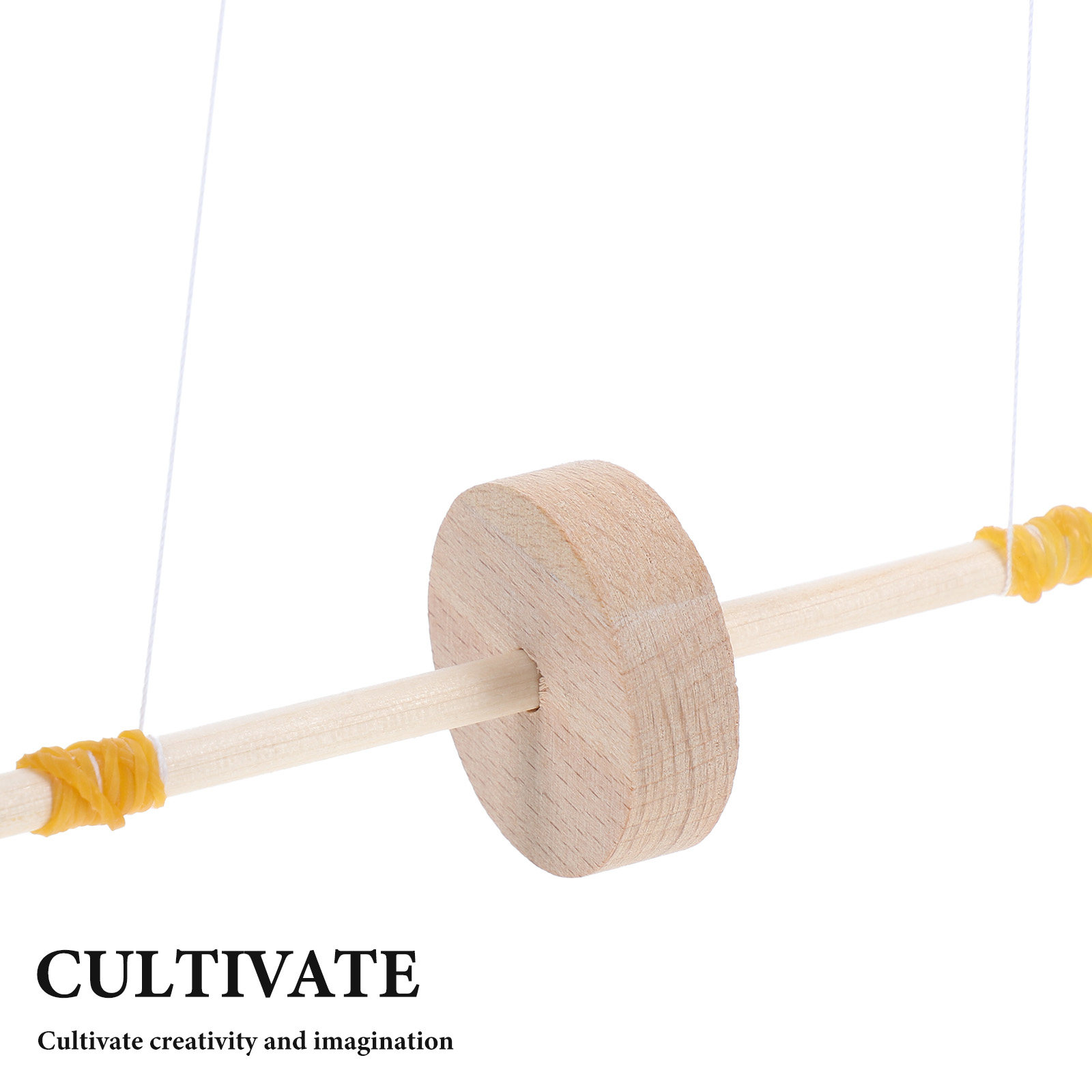 Maxwell Pendulum Houten Wetens - Science Project Kit recensie en prijs
